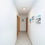 Casa Limoeiro - * Portimão